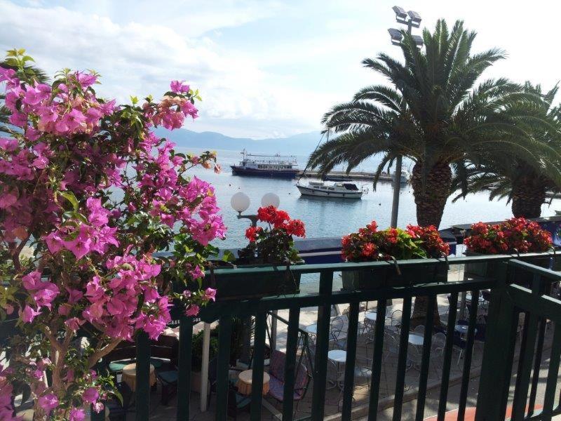 Apartman Iris Gradac  Esterno foto